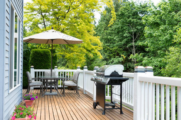 家甲板和院子和户外的家具和barbecue吃烤烧肉的野餐炊具