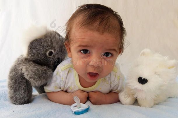 两个月婴儿男孩和树袋熊玩具