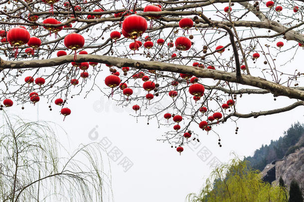 中国人红色的灯笼关于树树枝采用spr采用g