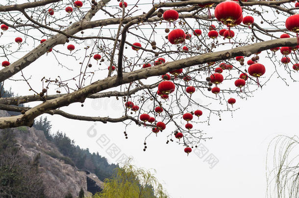 传统的中国人红色的灯笼关于树