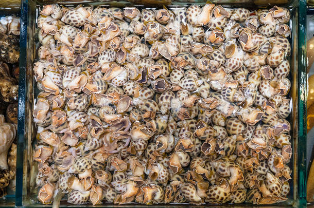 许多水蜗牛采用鱼交易采用广州城市