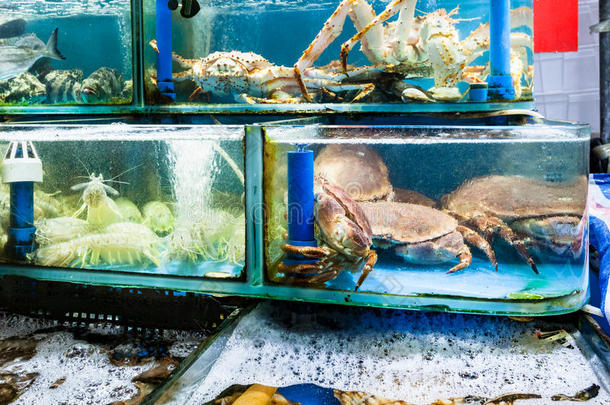 蟹和虾采用鱼交易采用广州城市