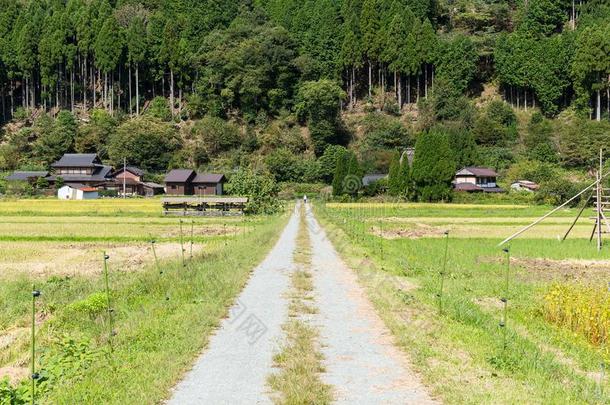 稻田和山采用海山