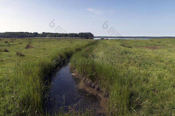 丹麦语海岸线风景