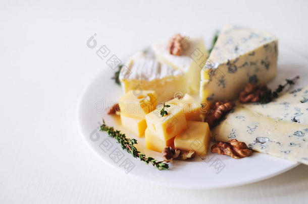 奶酪盘子和不同的种类关于奶酪