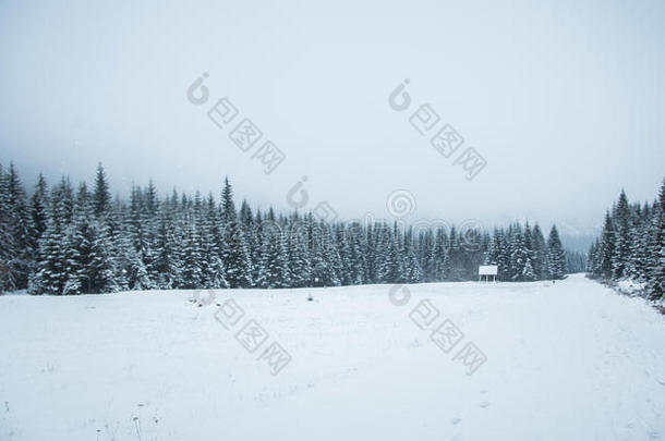 一美丽的冬山森林风景和一ro一d.