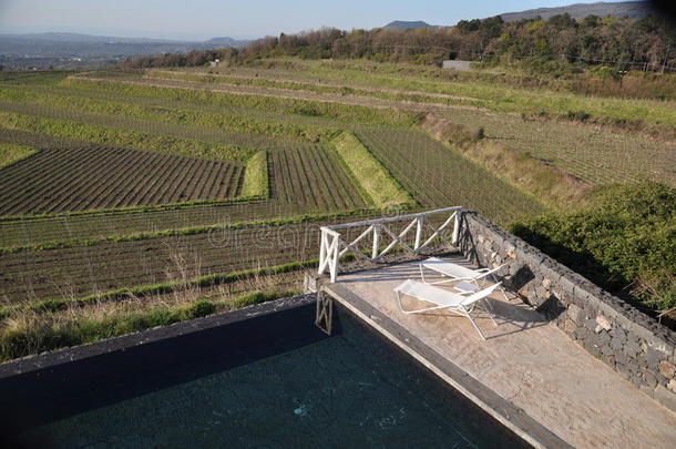 葡萄酒酿造厂水池看法越过指已提到的人葡萄园酒精灯煮水器西西里岛意大利