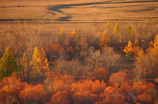 蒙古的风景采用秋