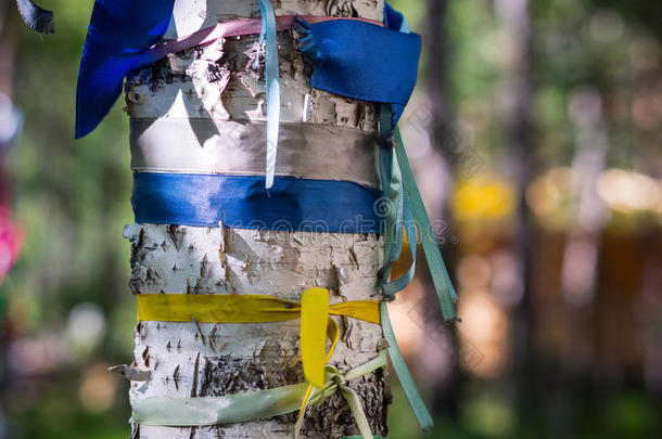 仪式树和许多-有色的带和领带