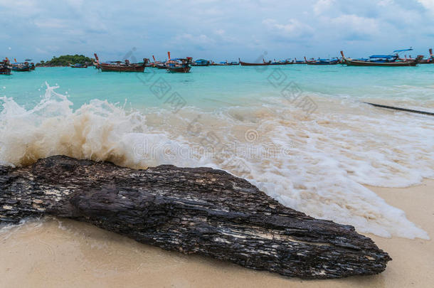 海波浪绝对的向指已提到的人树树枝.