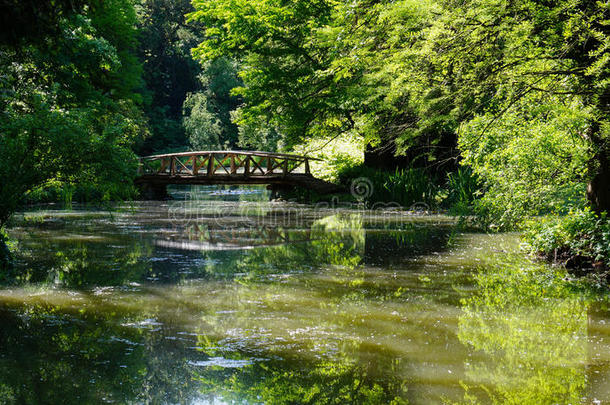 桥越过池塘