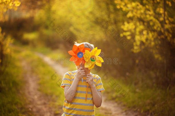 小的男孩兽皮在的后面黄色的和桔子风车向绿色的为