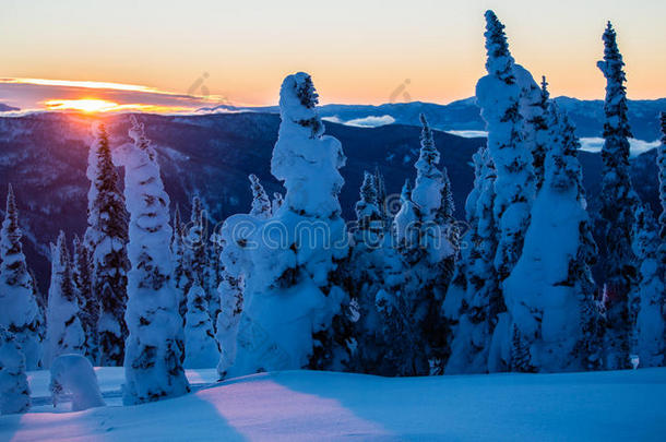 镶嵌太阳越过下雪的山和树