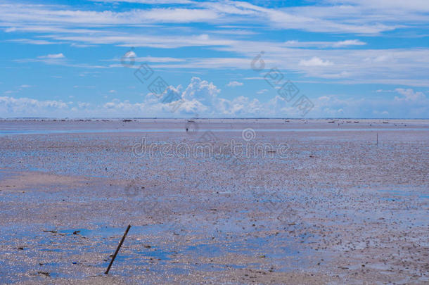 低的潮汐在海和蓝色天