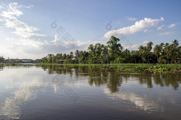 乡村一起thaumatin竹芋蛋白颏riverMaenam河thaumatin竹芋蛋白颏,镇帕洛姆,Thailand泰国