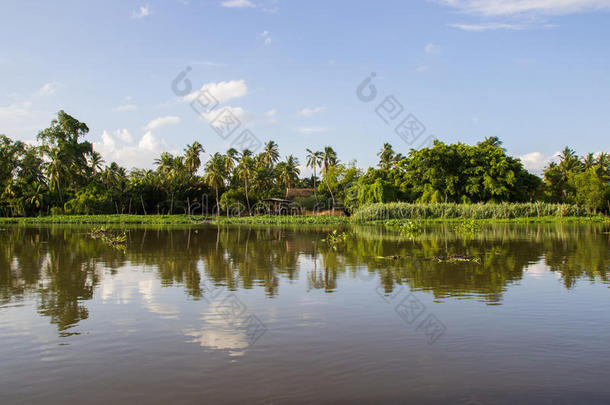 乡村一起<strong>th</strong>aumatin竹芋蛋白颏riverMaenam河<strong>th</strong>aumatin竹芋蛋白颏,镇帕洛姆,Thailand泰国