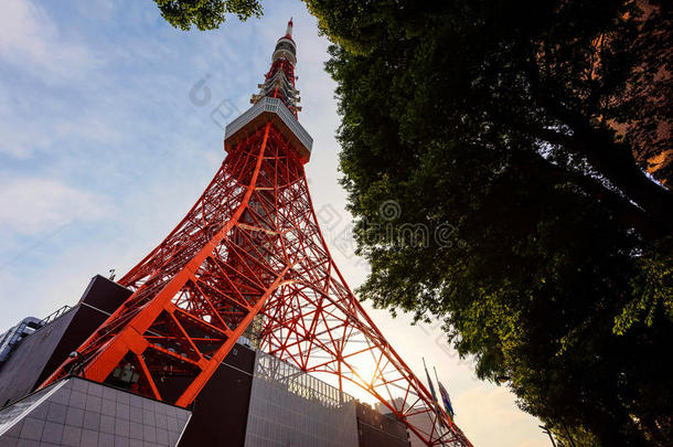 东京塔在日落
