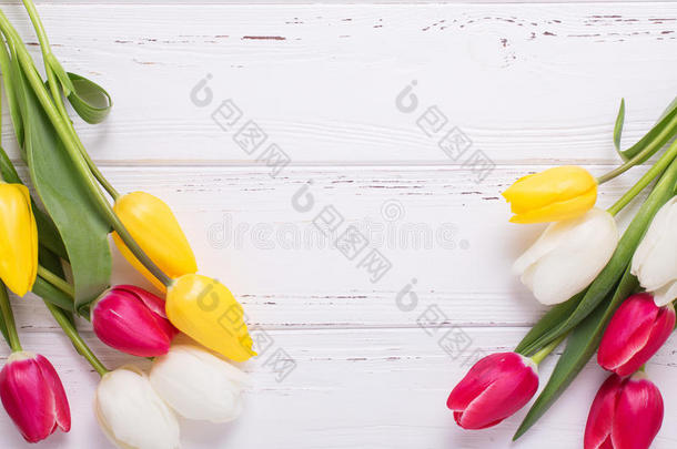 框架从黄色的,粉红色的和白色的郁金香花向白色的求爱