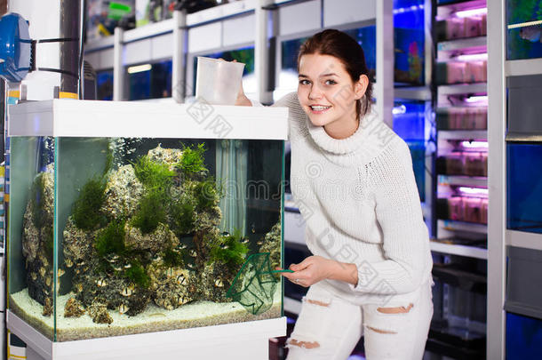 女孩佃户租种的土地宝瓶座时段生的人网和水容器紧接在后的向水族馆wickets三柱门