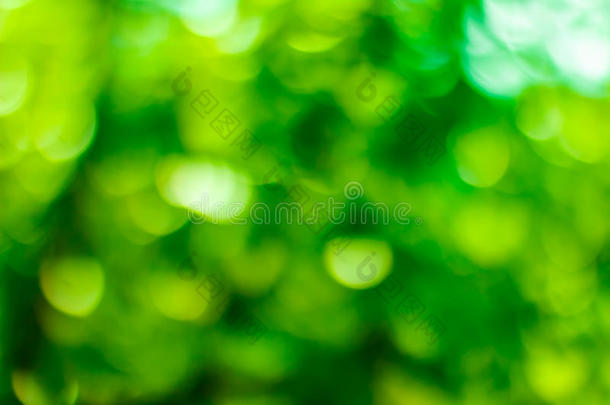 绿色的焦外成像背景.绿色的焦外成像.绿色的焦外成像抽象的,笛福