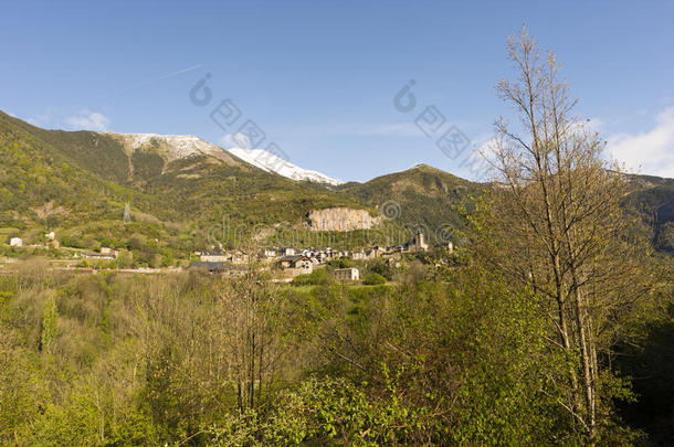 萌芽风景