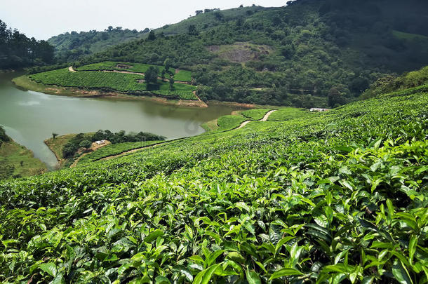 茶水财产和一l一ke