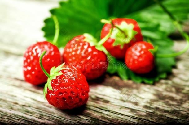 草莓.新鲜的草莓.红色的草莓.松散的打赌稻草