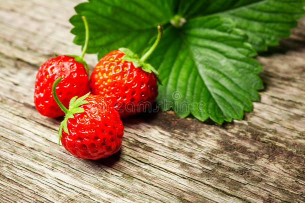 草莓.新鲜的草莓.红色的草莓.松散的打赌稻草