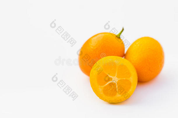 <strong>金橘</strong>-柑橘属果树日本产植物
