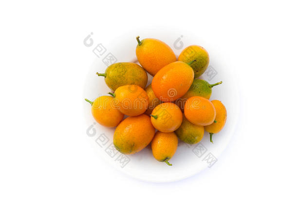 金橘-柑橘属果树日本产植物