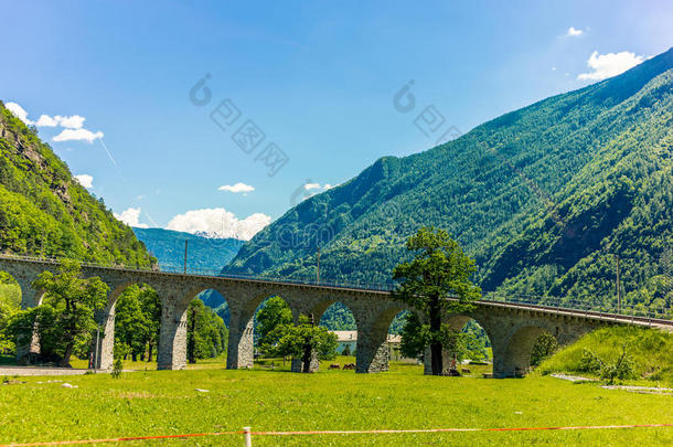 圆形的高架桥桥在近处地上嗡嗡作响向指已提到的人来自瑞士的alkali-treatedlipopolysaccharide碱处理的