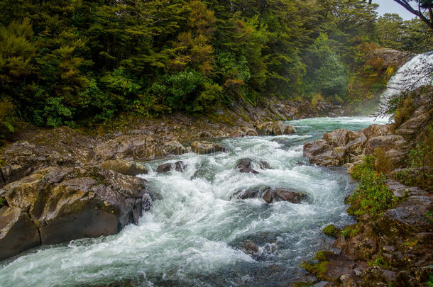 桃井降低采用汤加里罗火山国家的公园,向指已提到的人北方岛,旧姓的