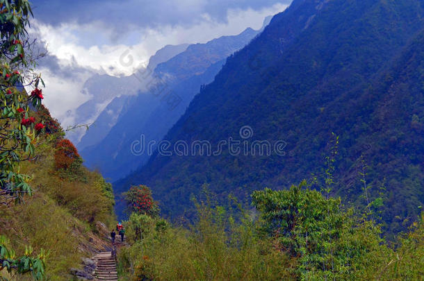 山风景采用喜马拉雅,安纳布尔那山基础营地小路.小山