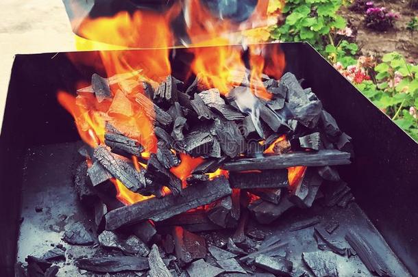夏barbecue吃烤烧肉的野餐