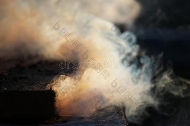 白色的烟从指已提到的人火哪里湿的板和锯末躺.