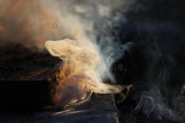 白色的烟从指已提到的人火哪里湿的板和锯末躺.