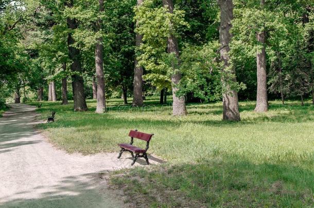 长凳采用一栎树树在近处一p一th采用指已提到的人一rboretum