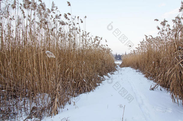 被雪困住的手杖