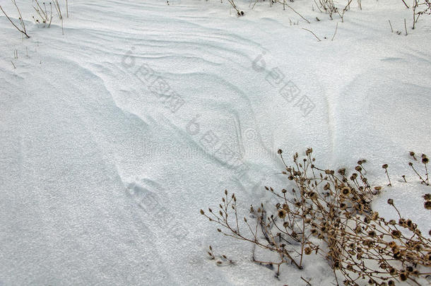 一处女<strong>被</strong>雪<strong>困住</strong>的田