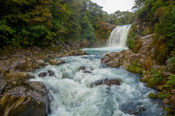 桃井降低采用汤加里罗火山国家的公园,向指已提到的人北方岛,旧姓的