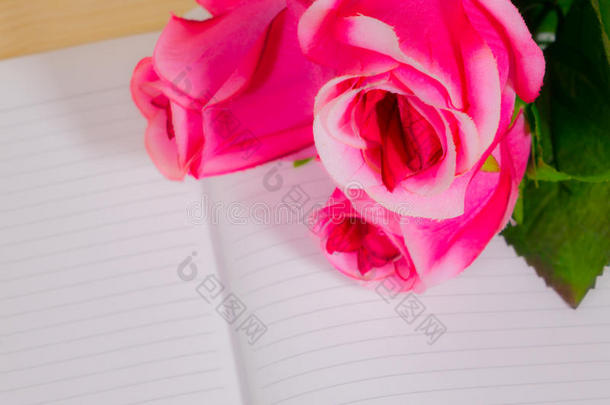 粉红色的玫瑰向指已提到的人<strong>书记</strong>下