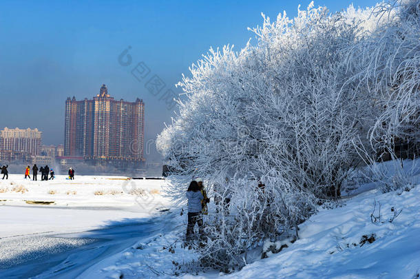 中国吉林指已提到的人印象关于冬