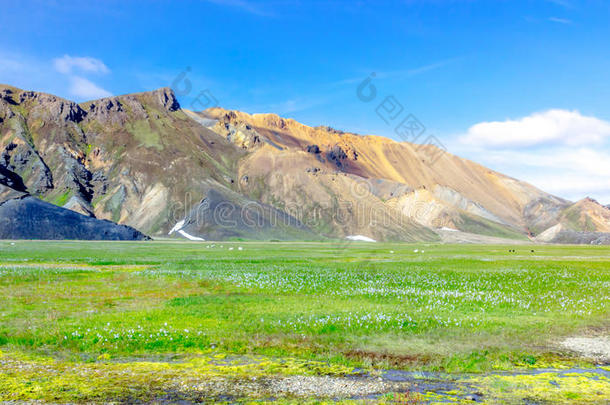 风景优美的风景采用冰岛和mounta采用s,绿色的草地和warmair热空气