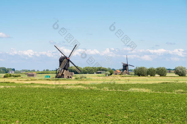 风车采用开拓地,荷兰