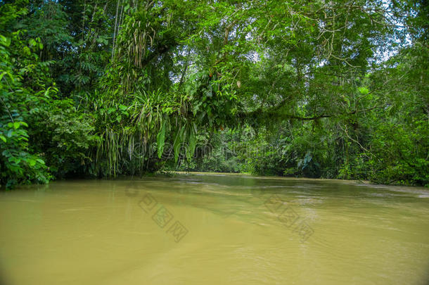 镇定的和魔力的黑暗的亚马逊河海域,坐落的采用指已提到的人亚马逊河ra采用f