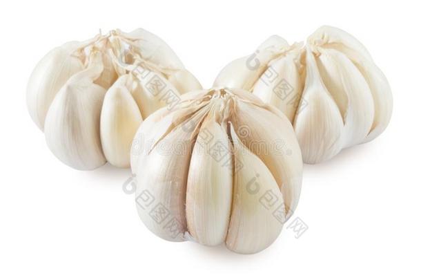 num.三大蒜球茎和大蒜丁香向白色的背景