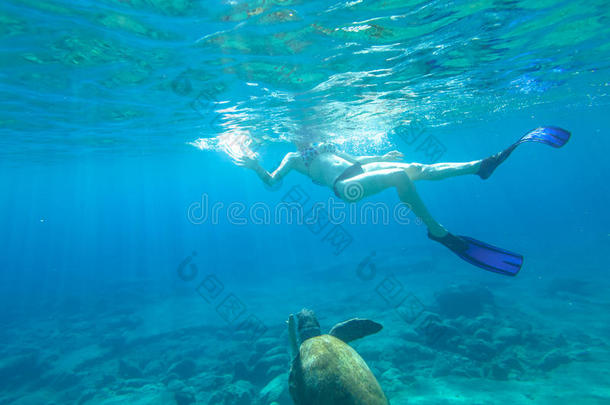 潜水器和海龟