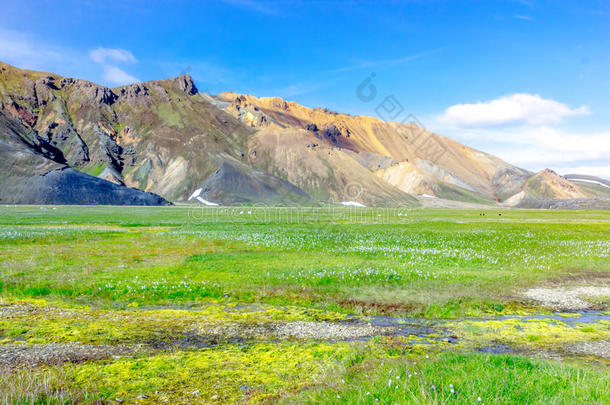 风景优美的风景采用冰岛和mounta采用s,绿色的草地和warmair热空气