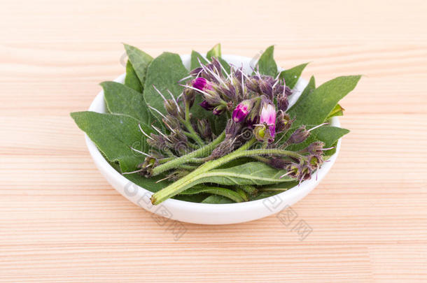 碗关于紫草科植物