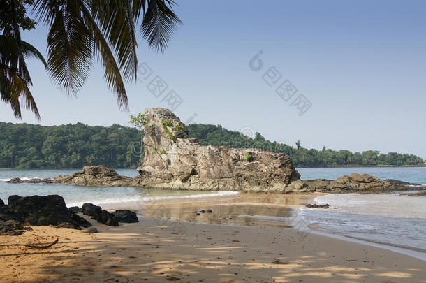 普拉亚椰子树,SaoPaulo圣保罗册和普林西比岛,非洲